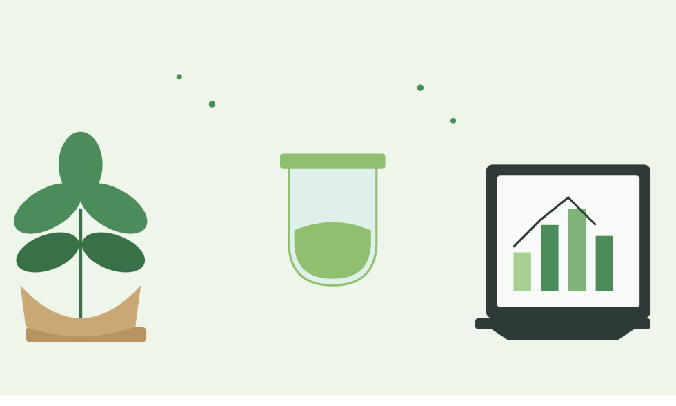 Herbal Medicine Production Software